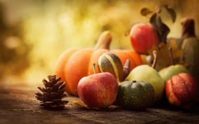 5 Hidden Gem Fall Destinations From Resort Concierge Escapes
