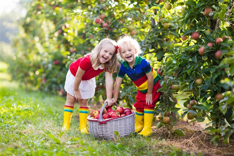5 Hidden Gem Fall Destinations From Resort Concierge Escapes (3)